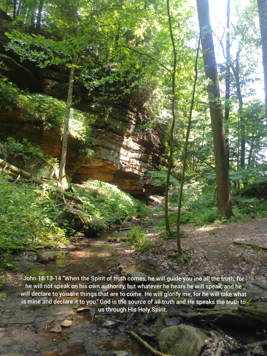 I hiked the Shades State Park #1 Trail. #shadesstatepark #creek #forests #forestphoto #sunlight #sunlightphotography #hike #hiking #hikingadventures #nature #NatureBeauty #naturelover #naturephotography #Truth #speak #holyspirit #declare