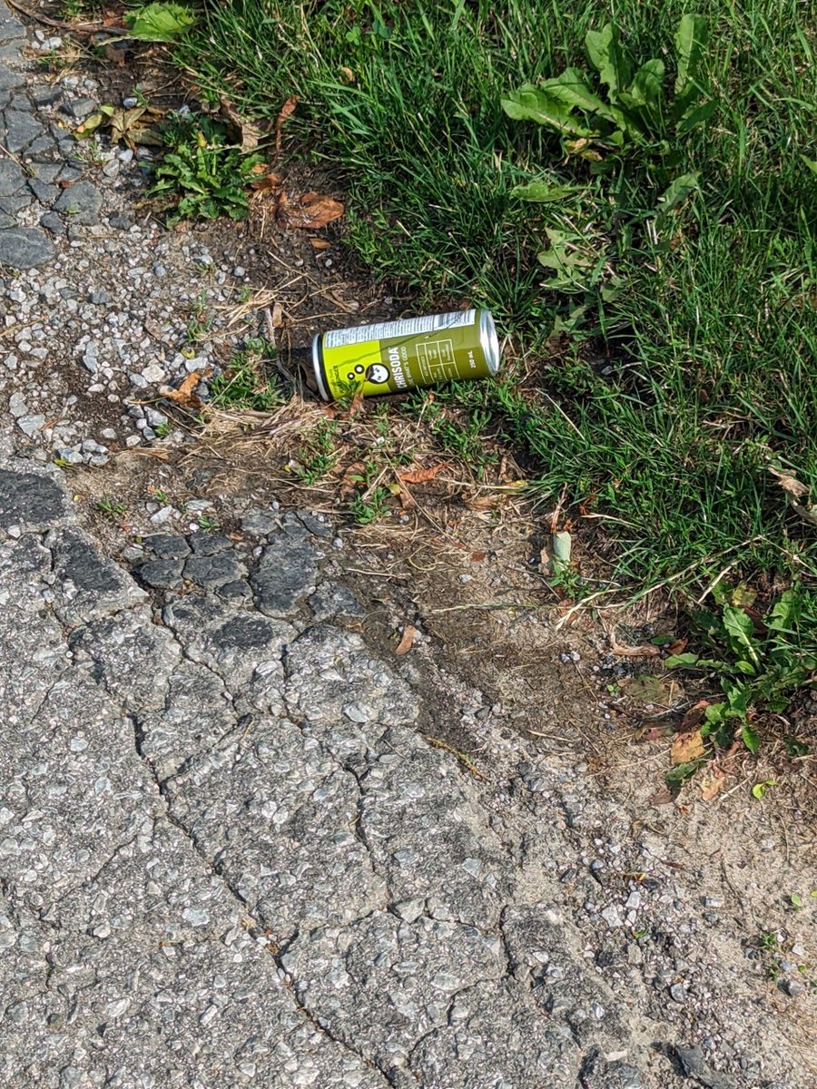 drinkchrisoda's tweet photo. Now we're usually pretty happy to see our product in the wild, but please don't litter! #recy https://t.co/nRxny77wlW