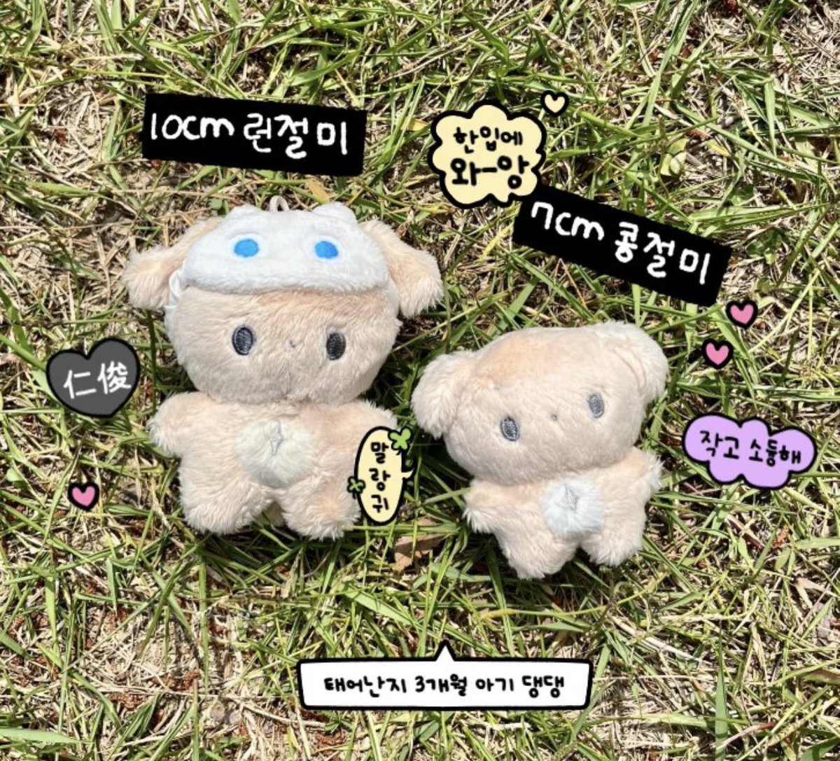 yoitsales's tweet photo. #yoit_pasabuy : PH GO 🇵🇭

✦ wts lfb ph nct dream renjun renjeolmi kongjeolmi 

      ♡ ₱850 — 7cm
      ♡ ₱980 — 10cm + sleeping mask

by @Renjeolmi_doll 

  ◡̈ feta | isf to follow
   ◡̈ doo: 07/14
  ◡̈ dop: 50% 07/14, rembal 07/30 

💬 DM TO ORDER https://t.co/DelHKNe7Kg