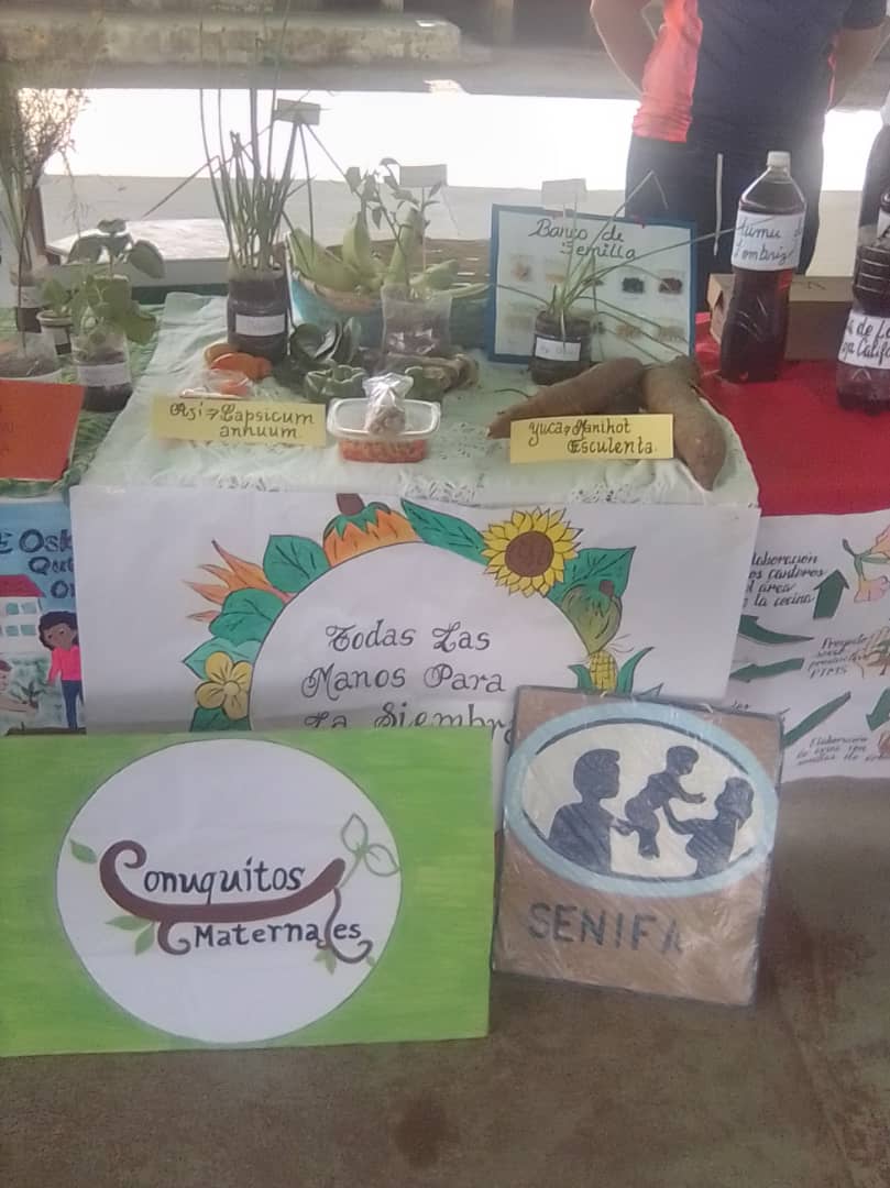 ViceIP's tweet photo. #29junio Senifa presente en el encuentro de muestras municipales de los avances y logros. #Yaracuy 

@NicolasMaduro 
@_LaAvanzadora 
@gtorodelara 
@MPPEDUCACION https://t.co/F3LlOuIuMb