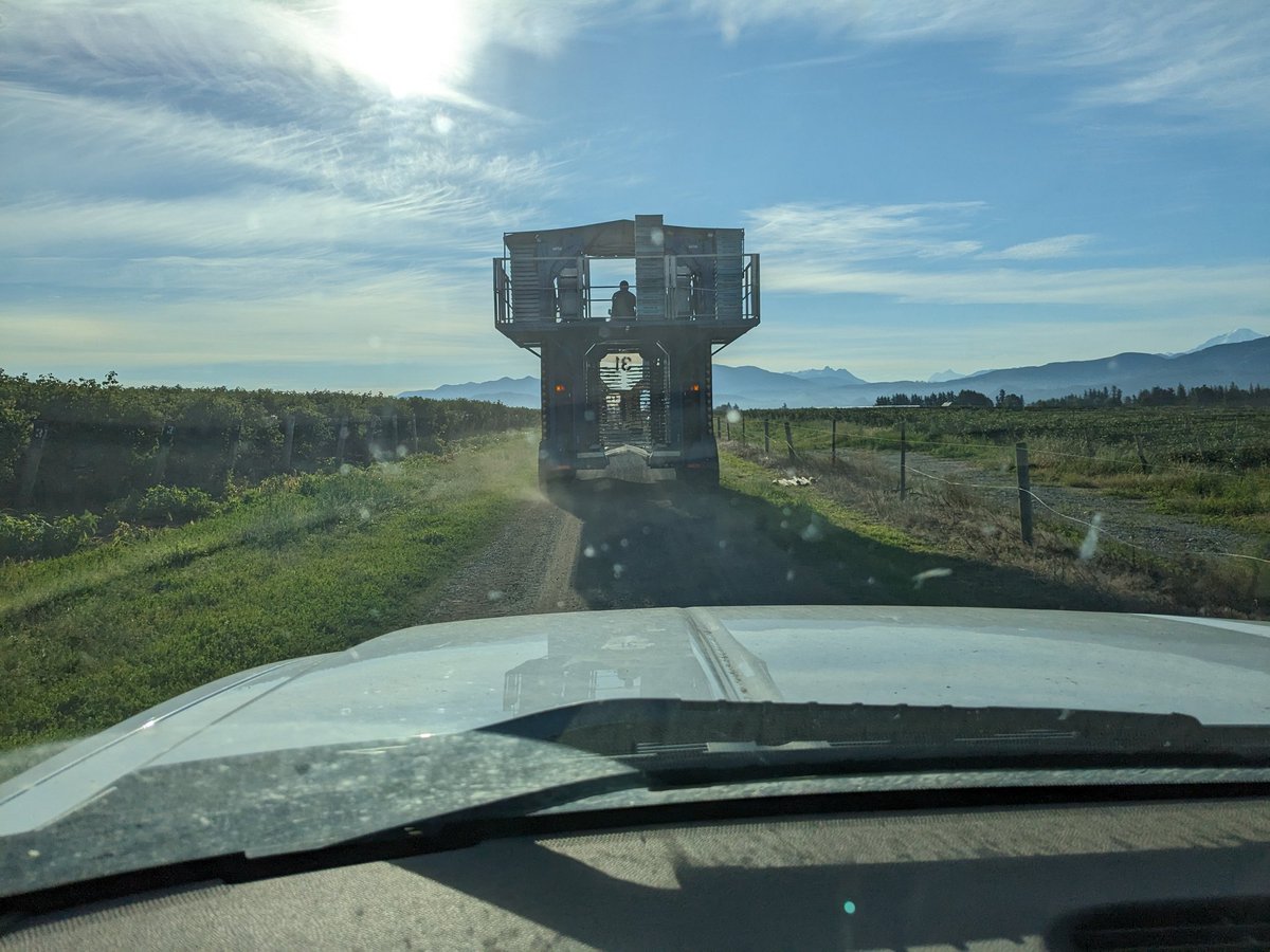 Typical summer traffic jam during raspberry harvest season.