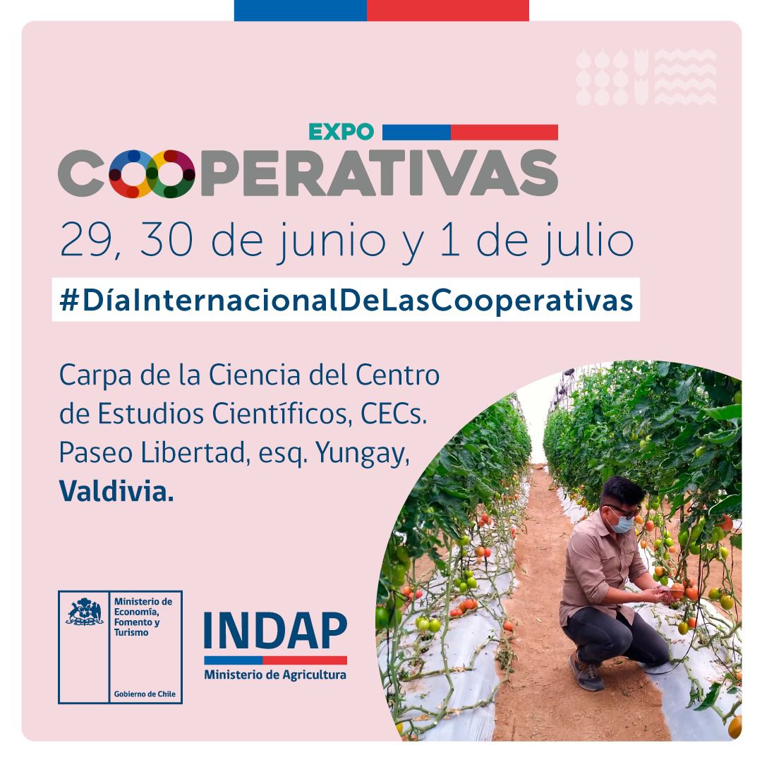 semilla_austral's tweet photo. Este viernes 30 de junio desde las 10:30 am participaremos del conversatorio en la Expo Cooperativas  compartiendo nuestra experiencia  siendo guardianes de semillas 👐
Les esperamos en la Carpa de la Ciencia @CECs_cl @INDAPLosRios #valdiviachile 
#expocooperativas https://t.co/aCN3kIVhmp
