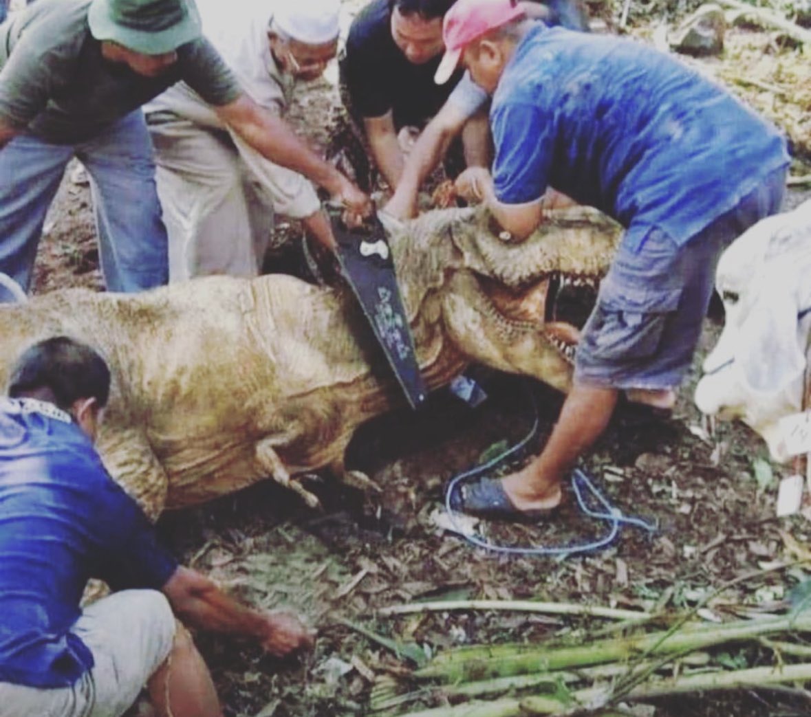 _danielaizat's tweet photo. Salam AidilAdha 1444H. 
Tahun ni korban lain sikit 😆 https://t.co/TbtIVUFlGi