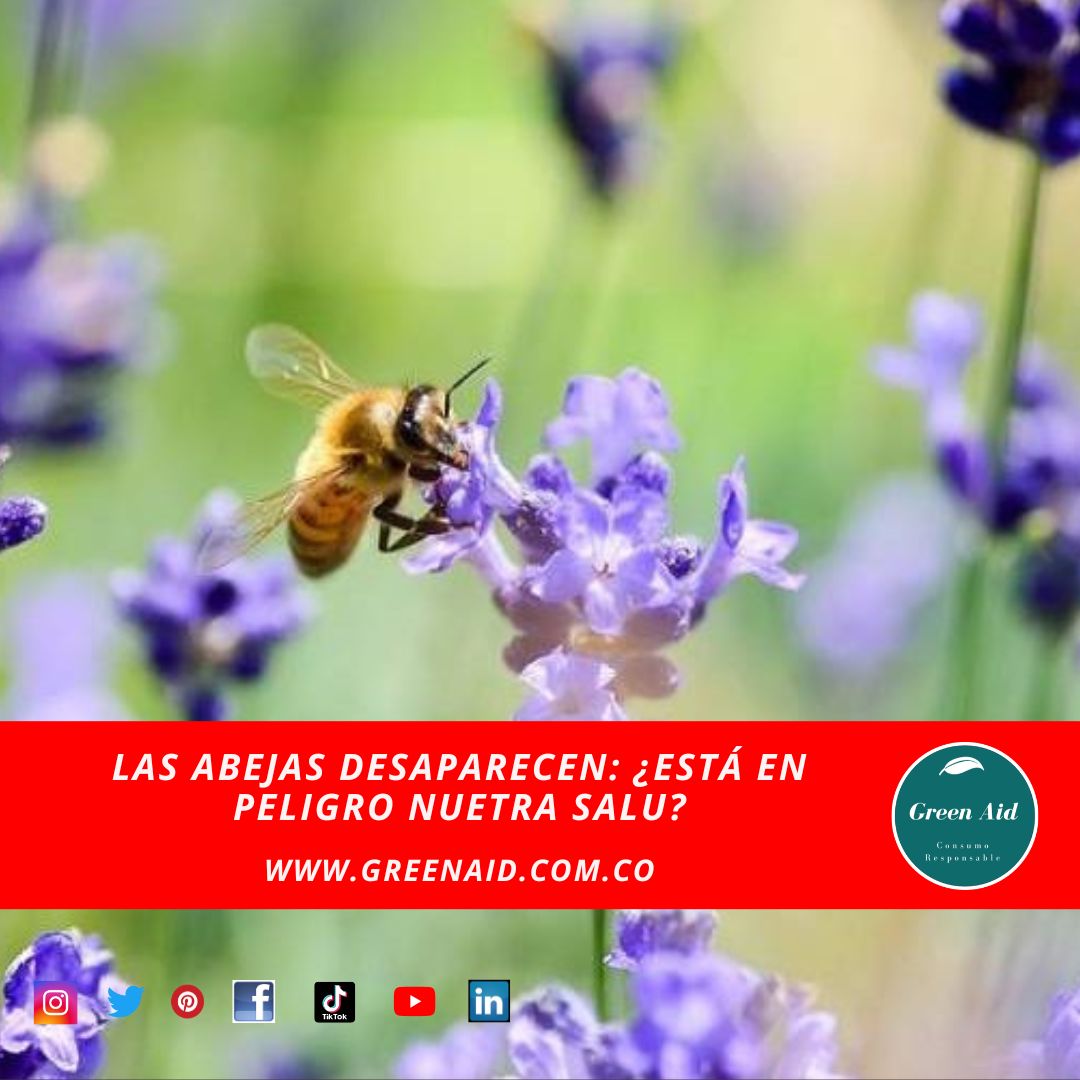 GreenAid10's tweet photo. El artículo completo en nuestro Blog

https://t.co/b3DWa36pCZ. 
 Juntos podemos ayudar  #CuidaElPlaneta #NoMasPlastico #DesechablesCompostables #Usacompostables #dejatuhuella #greenaid @franciscoactiv2
@JuanKarloslos https://t.co/KYWvvEn90T