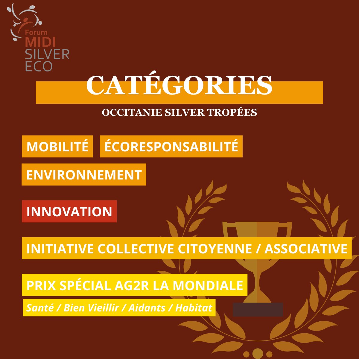 occitanie-silver-trophees.fr