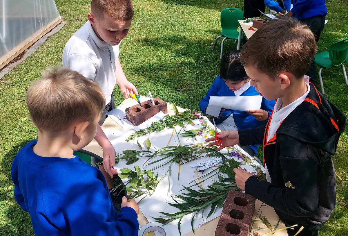 rootstofruit202's tweet photo. ... aaaand breathe!
Y5 @fourdwellingspa are thinking about the biomes that make up our planet this half-term.
Today, the lungs of our world - rainforest - &amp; the unique flora &amp; fauna they contain. 
Our collages reflected their layers, which we labelled.

@MrsM_Court @AETAcademies https://t.co/wQSLsbWvIT
