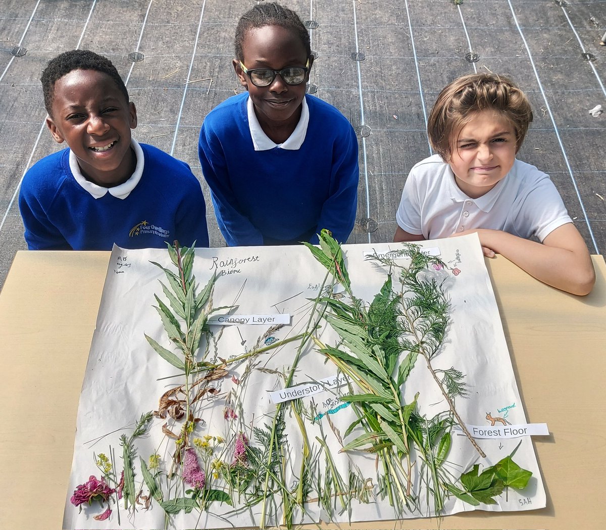 rootstofruit202's tweet photo. ... aaaand breathe!
Y5 @fourdwellingspa are thinking about the biomes that make up our planet this half-term.
Today, the lungs of our world - rainforest - &amp; the unique flora &amp; fauna they contain. 
Our collages reflected their layers, which we labelled.

@MrsM_Court @AETAcademies https://t.co/wQSLsbWvIT
