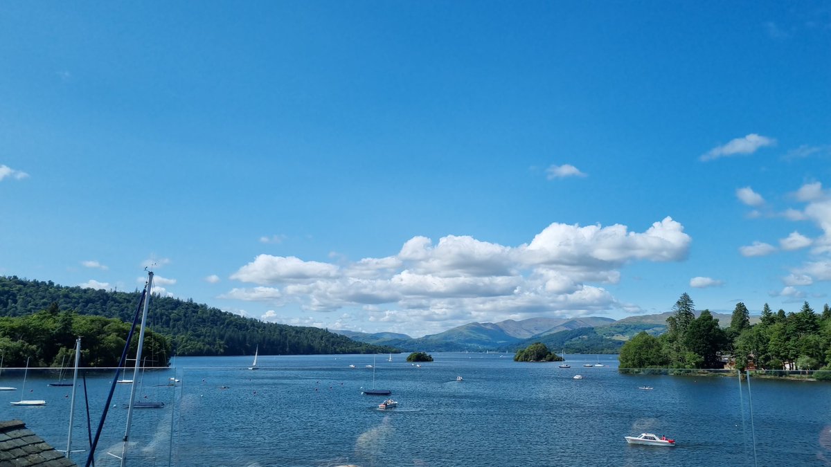 Shane Thomas tweet media