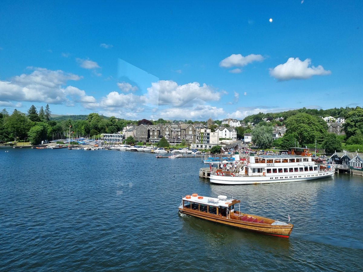 Shane Thomas tweet media