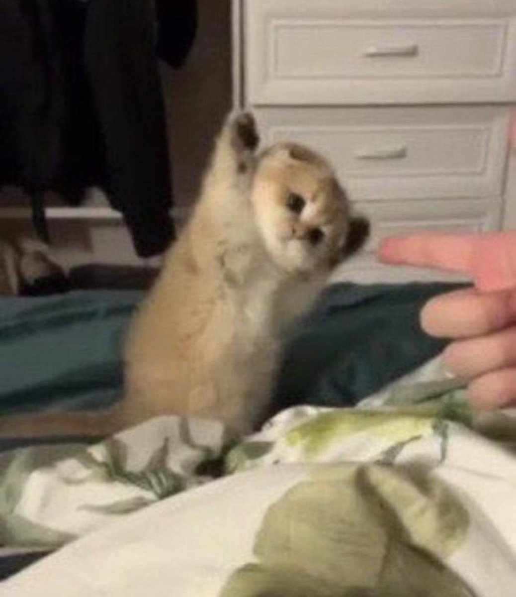 Waiting for my time off to be approved like 🥹