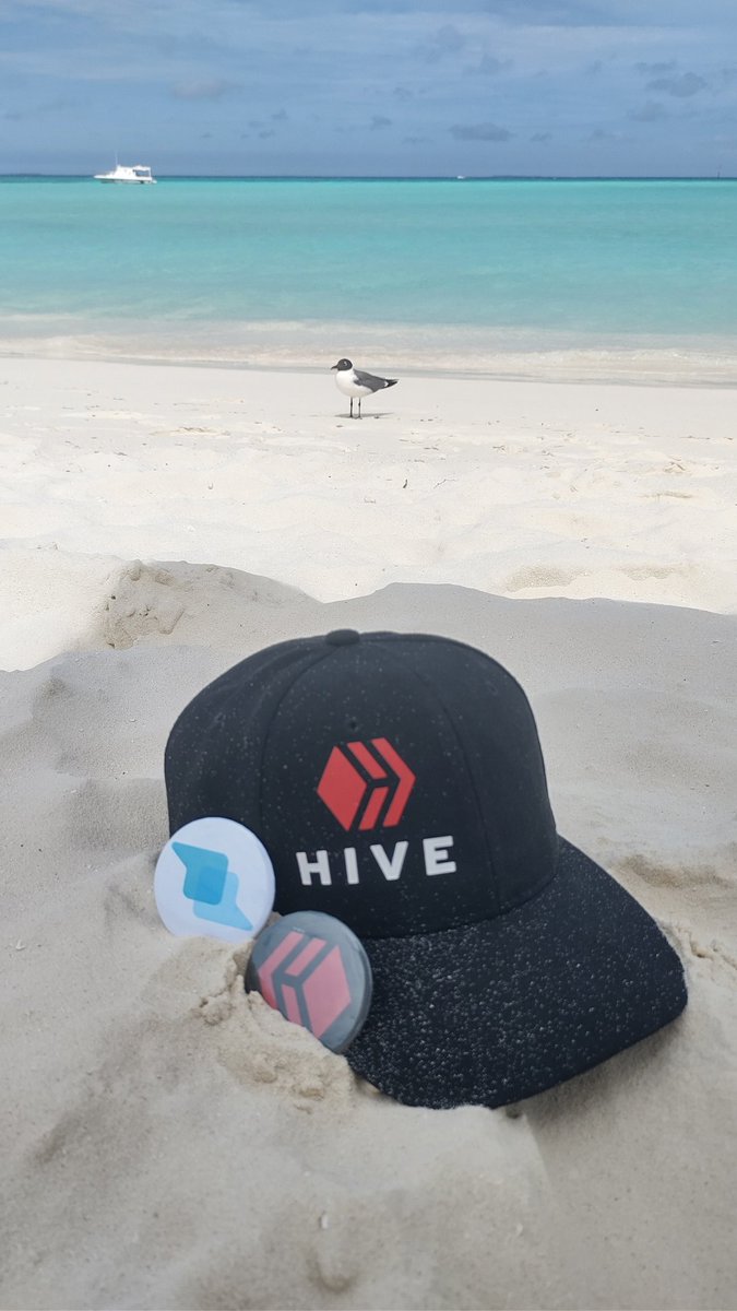 Fermionico's tweet photo. Una imagen que lo dice todo..!

Publicada en moments de @LiketuOfficial, la #Dapp que se encuentra revolucionando el mundo fotográfico de #Web3

Saludos desde Los Roques a todo #Hive..! https://t.co/Lfw8K0klX3