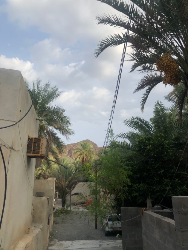 لا شبكه ولا ارسال ولاشي بس عايشين كيف ماعرف
صوره حج بلاد 🏞️