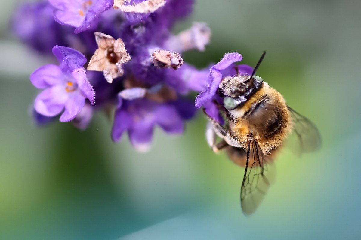 Colin Lee tweet media