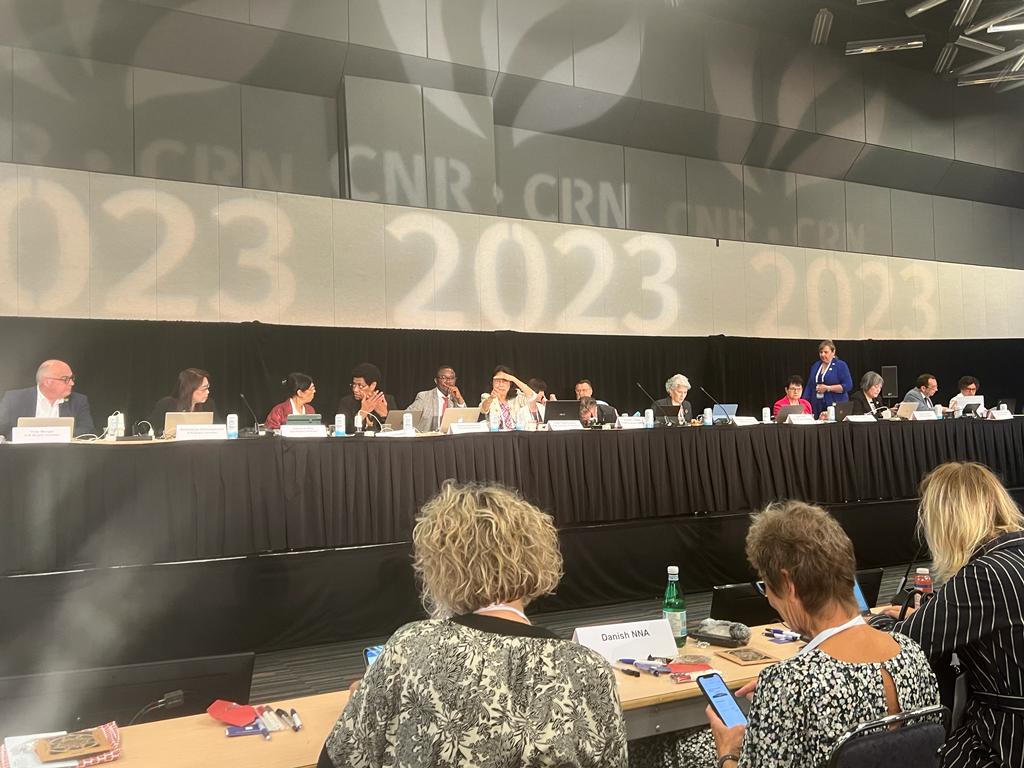 Les membres de l'ICN sont présents avec Howard Catton et Pamela Cipriano. <a href="/LecointreBrigi2/">Lecointre Brigitte</a> <a href="/ICNurses/">ICN</a> <a href="/SarahEE75/">Sarah LE JOLY</a>