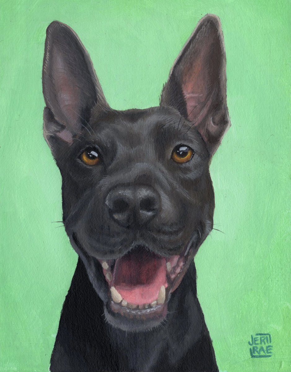 jeriraeart's tweet photo. Had the pleasure of painting this cutie Lucy 🖤 
Acrylic on Illustration Board 5”x7”
https://t.co/s7u7oyFcgD https://t.co/yRpA6Un9sD