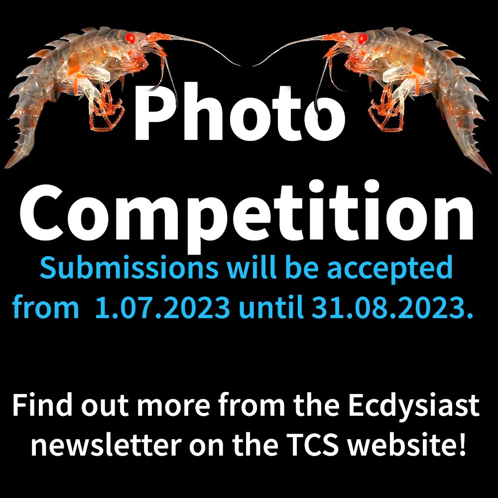 📸 Join our #CrustaceanPhotoCompetition! Show off your photography skills capturing live crustaceans or laboratory specimens. Win amazing prizes and get featured in the Journal of Crustacean Biology! Submit between 1 June - 31 August 2023. Find out more: thecrustaceansociety.org/ssss_up/files/…