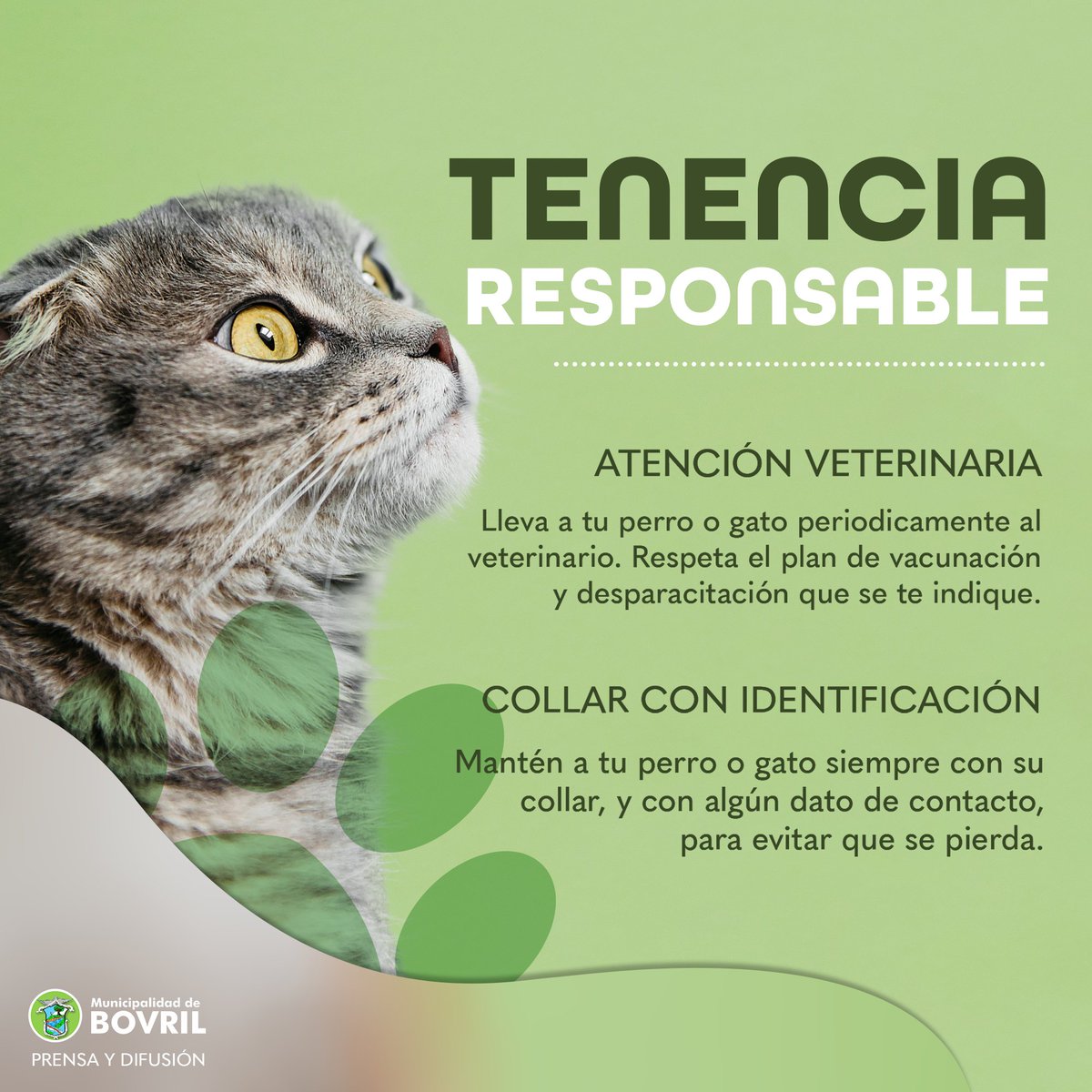 MUNIBOVRILok's tweet photo. 👉DE INTERÉS PARA EL VECINO - #TENENCIARESPONSABLE 
.
.
.
#MUNICIPIOPRESENTE
▪️ COORDINACIÓN DE PRENSA Y DIFUSIÓN
📲💻https://t.co/6duVhPQadK https://t.co/PUd0OfXxQf