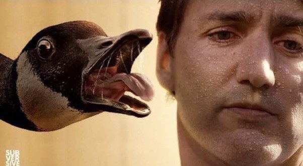KEriksenV2's tweet photo. Today is June 29, 2023 and Justin Trudeau is still the most corrupt, divisive, narcissistic, nepotistic, unethical, gaslighting, bank account seizing, bouncy-castle sieging, speed of science loving, cobra-chicken fearing, CBC infiltrating, China installed PM in 🇨🇦history.

#Honk https://t.co/jq4O3So0eU