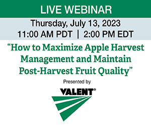 ValentUSA's tweet photo. Please join us July 13 at 11 AM PDT/2 PM EDT as we examine how to run apple harvest on your schedule plus maintain post-harvest fruit quality with pre-harvest applications of ReTain® Plant Growth Regulator. An expert panel from Valent U.S.A. will discuss using ReTain for drop control to enhance your harvest management program + using ReTain to maintain fruit firmness and reduce disorders like stem bowl cracking, watercore, skin greasiness, and stem-end flesh browning. The Valent U.S.A. technical team will help you get the most out of ReTain to maximize your packout and crop marketability this season. Register via the link below.
https://t.co/NYsUkoQ8tf