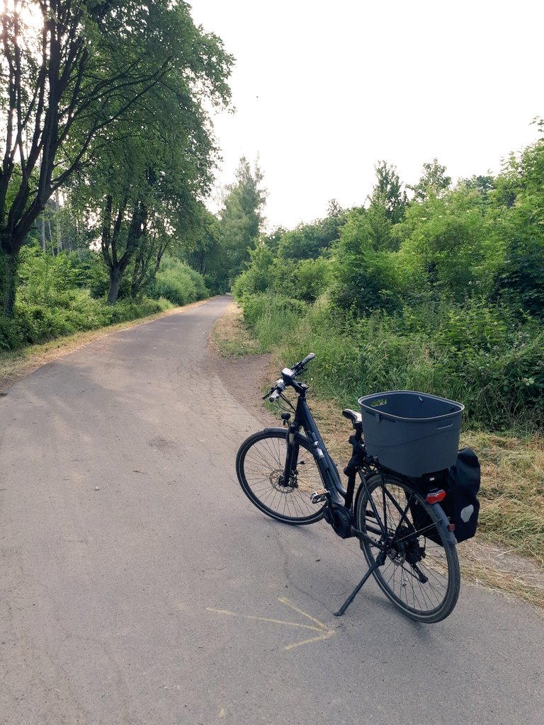 bkaiser_bn's tweet photo. Auf dem Weg zur Arbeit wie immer knapp zehn entspannte autofreie Kilometer durch den schönen Kottenforst 🌳🚴‍♀️ 🌲 Dagegen haben alternative Verkehrsmittel keine Chance. Selbst bei Regen, wenn es welchen gäbe  #mdRzA https://t.co/xtSwGWBMp3