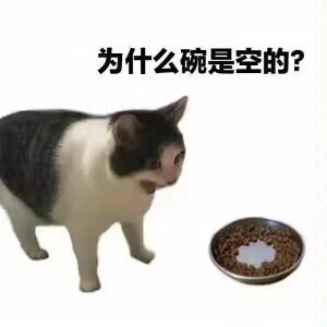 arletaknut222's tweet photo. @OMAK_TLS https://t.co/SG2CTZPNgA