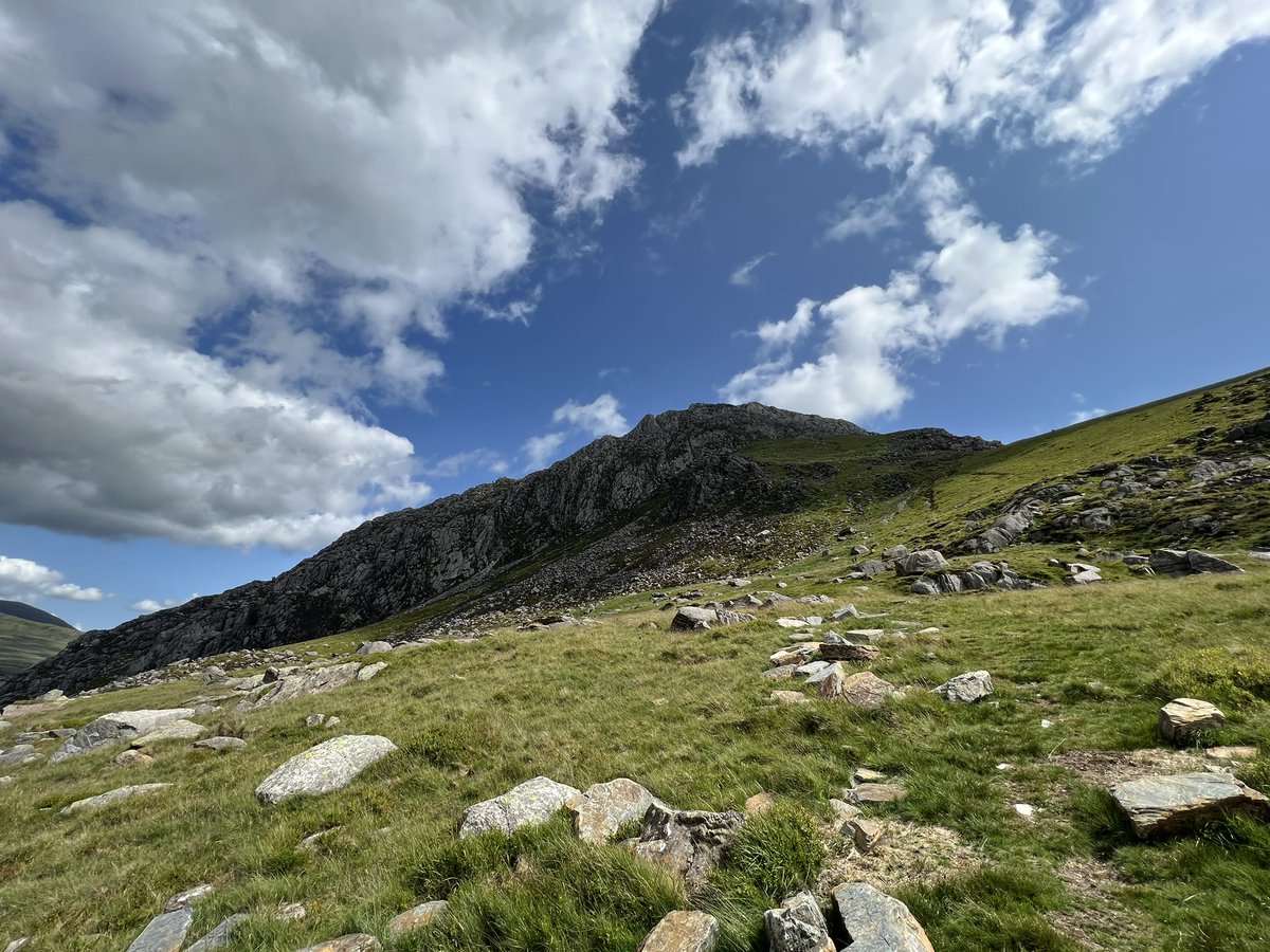 Dave Adams tweet media