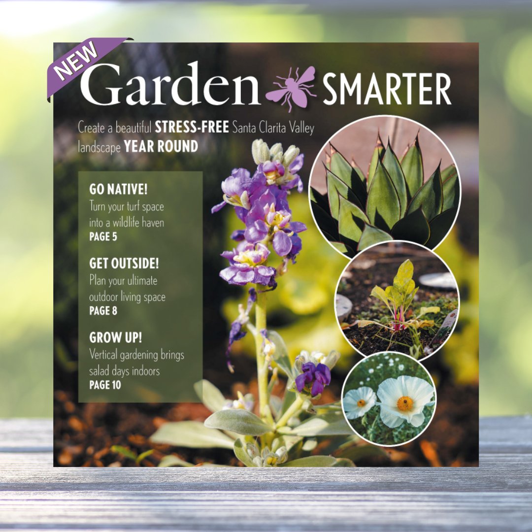 scv_water's tweet photo. Exciting News! Introducing "Garden Smarter," our comprehensive guide to water-wise landscaping. Discover tips, plant recommendations, & more to create a beautiful & sustainable garden. Download your free copy today by visiting https://t.co/c1qEUCm47c!π±π§ #GardenSmarter #SCVWater https://t.co/Gwd90cXOdU