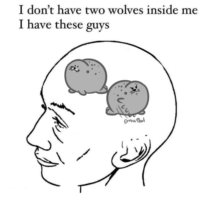 Miss_seal🦭 (@miss_seaal) on Twitter photo 