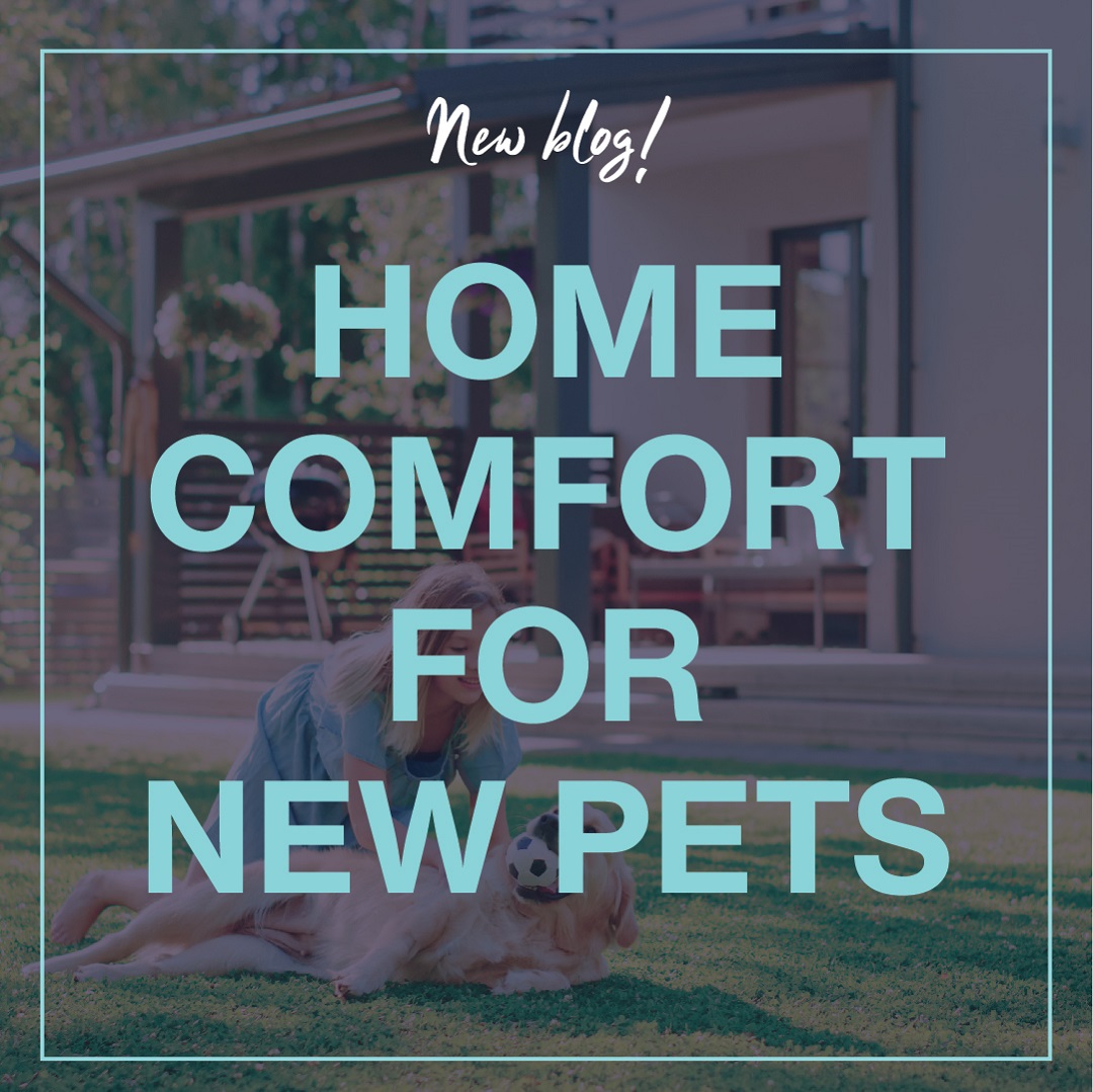 phantom_screens's tweet photo. It's time to make your home paw-fect for a new pup! 🐶Add your personal touch and practical preparation with useful tips and tricks from our blog. Grab your pup’s leash, and let’s get started! 
https://t.co/Bcct7YbKMZ

#FurryFriendsWelcome #doggo #puppylove https://t.co/iFkPp1yjWX