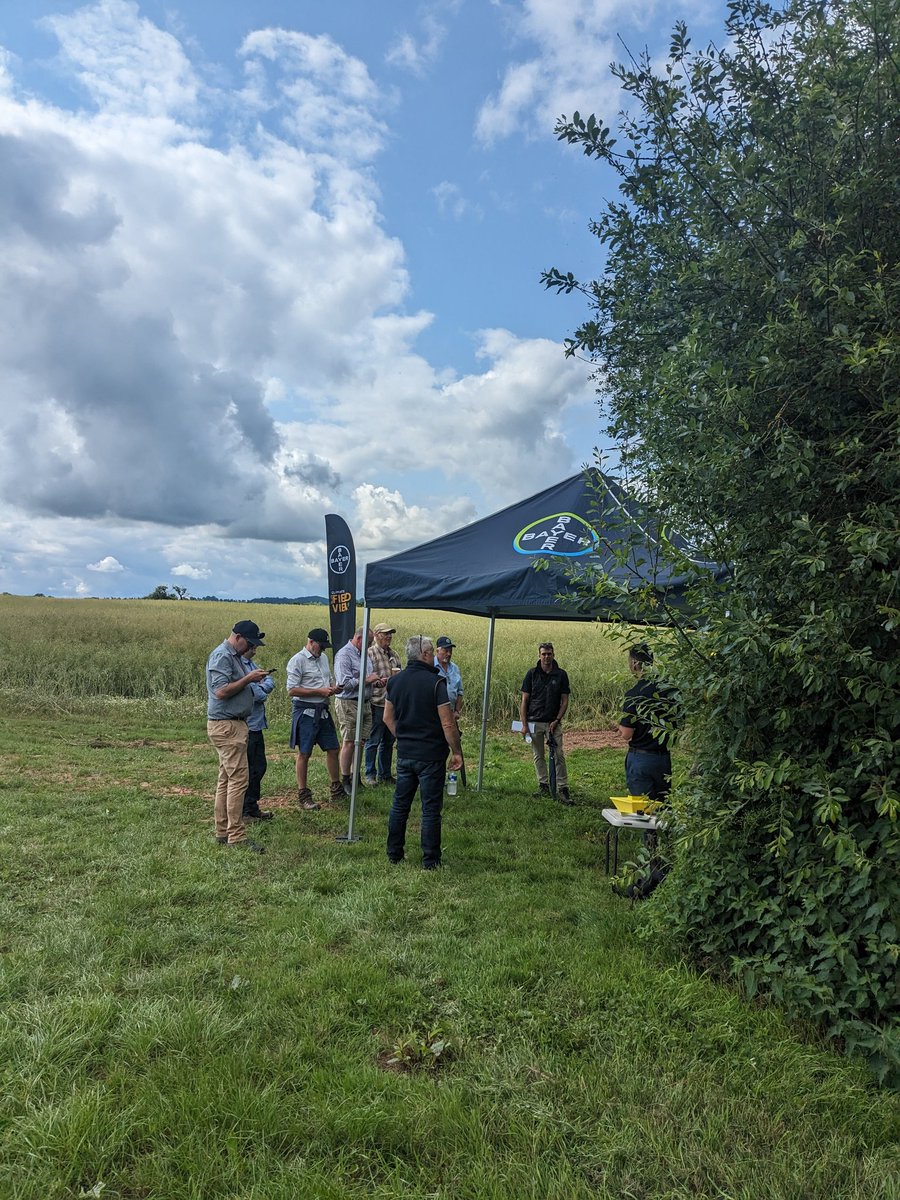 Great day at our Callow site in Herefordshire with our amazing #TeamBayer talking #iblon, @dekalb_osr, #fieldview and more 🌾 

If you want to catch up with the team &amp; find out about our solutions - come and see us in Long Sutton next week! 

#iblonOnit
