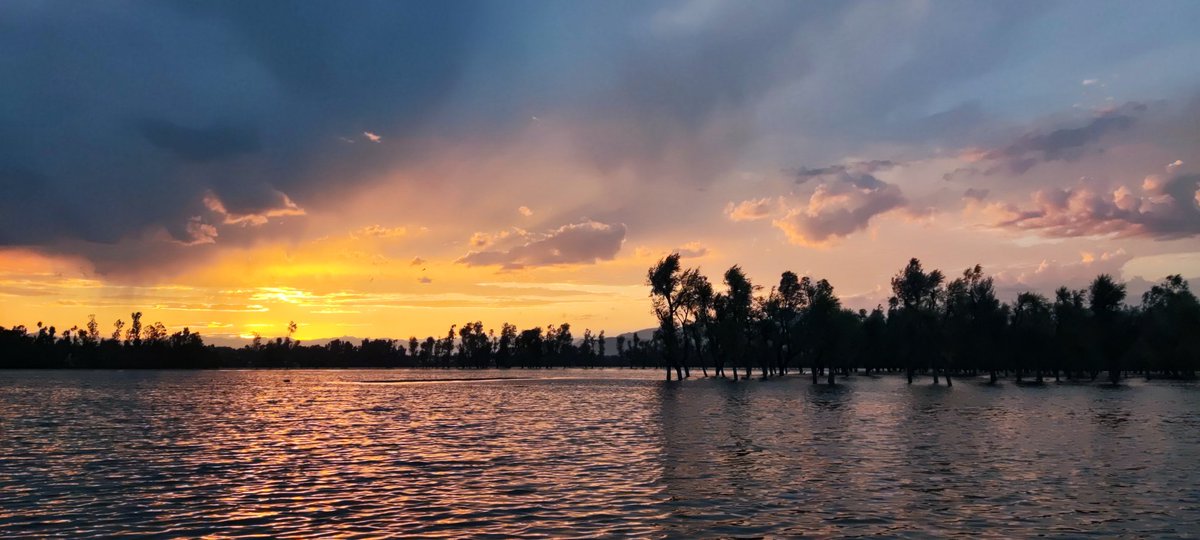 MoosaNazir12's tweet photo. Golden hour is my happy hour.
#wularlake https://t.co/SMfyoBZPJi