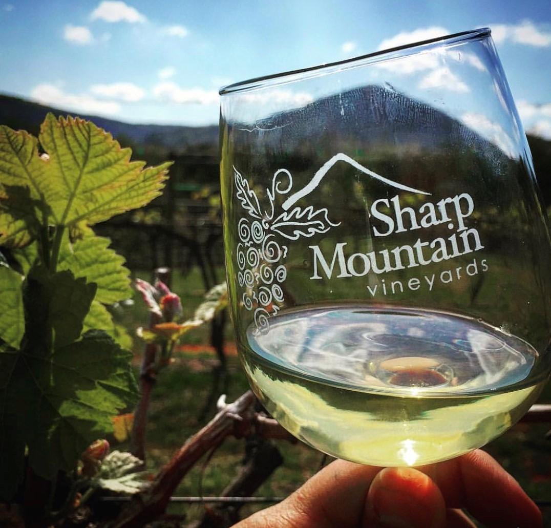 SM_vineyards's tweet photo. https://t.co/jZGS4MwTvH
https://t.co/iOV1LmOXmK https://t.co/N2vuN9s6x7