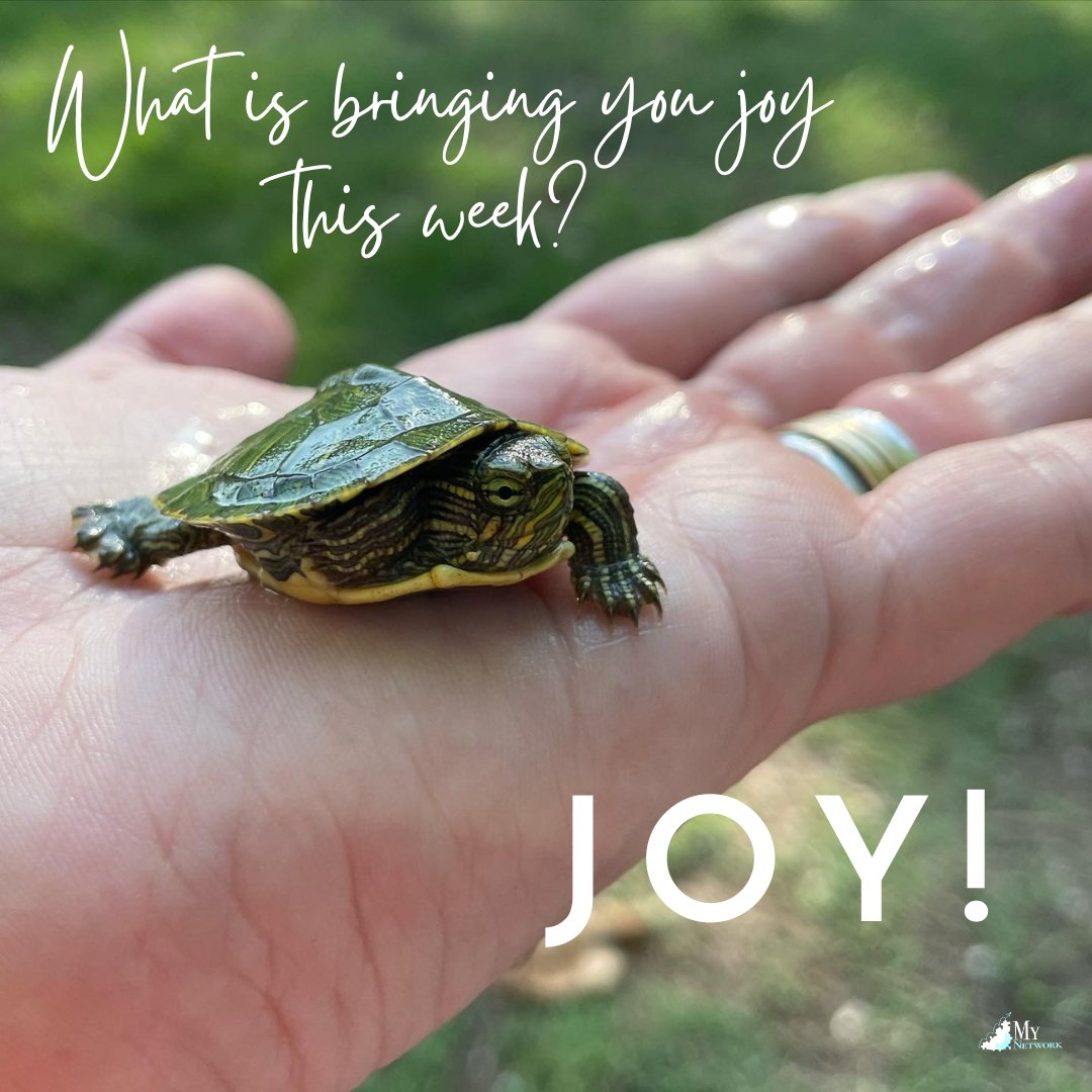 What is bringing you JOY this week?
What creates a sense of wonder for you?
What has left you with pause and gratitude?

#MyNetwork #MyNetworkINS #WhatBringsYouJoy #MakeAJoyfulNoise #FindYourPause #IMPACT #InPurpose #OnPurpose #ForPurpose