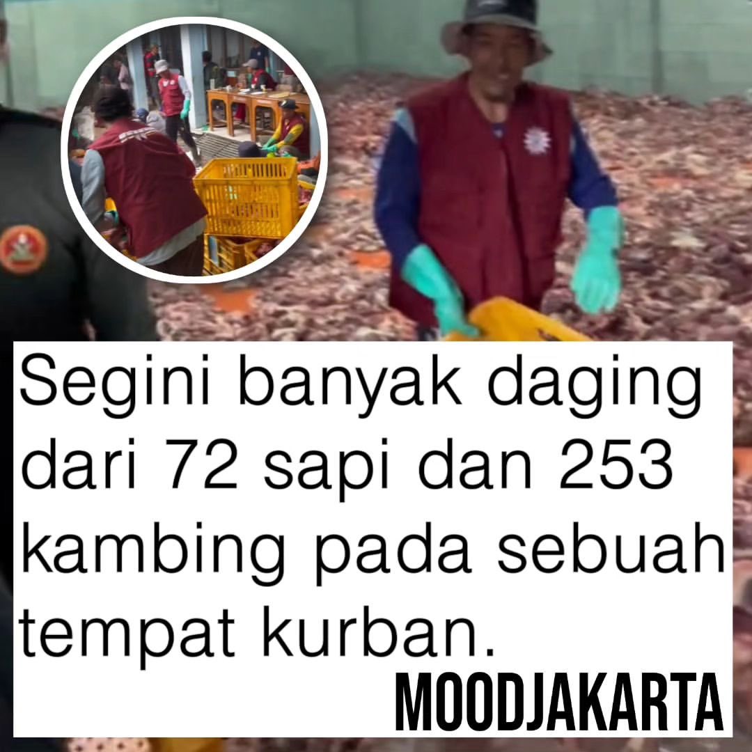 Begini hasil daging kurban dari 72 sampi dan 253 kambing pada sebuah tempat kurban. Gak kebayang itu panita qurbannya lihat daging segitu banyak dan pasti cuapekk polll

[📸Tiktok/dombabaturofficial]