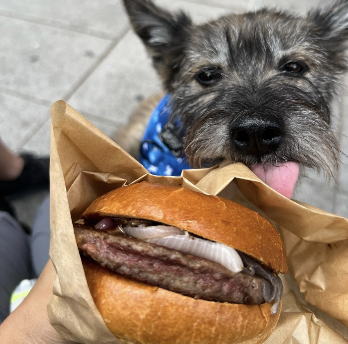 Bareburger tweet media