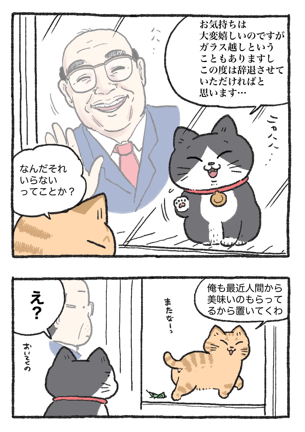 「ねこ転」その145が公開！のらねこがプンちゃんにプレゼントしたものとは…！？