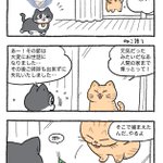 「ねこ転」その145が公開!のらねこがプンちゃんにプレゼントしたものとは…!？