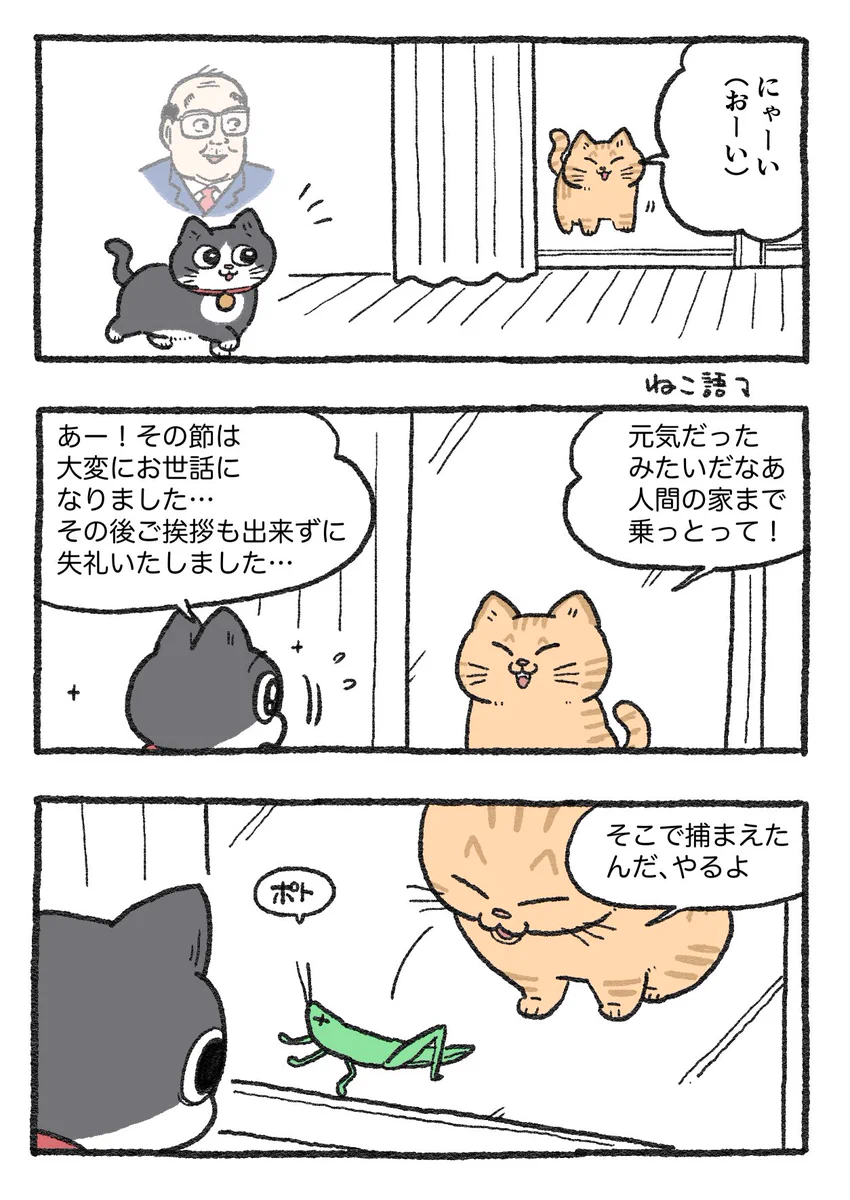 「ねこ転」その145が公開！のらねこがプンちゃんにプレゼントしたものとは…！？