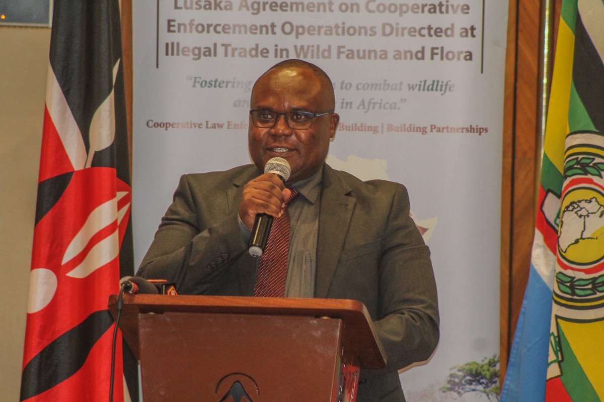 wemsinitiative's tweet photo. On 28/6/23, the 13th meeting of the Lusaka Agreement Governing Council was held in Nairobi. Ministers from Kenya, Zambia, Tanzania, and Congo Brazzaville attended. The LATF Member Countries share a common goal to combat all forms of wildlife crime. #UnitedAgainstWildlifeCrime https://t.co/fmPnRIQiSr