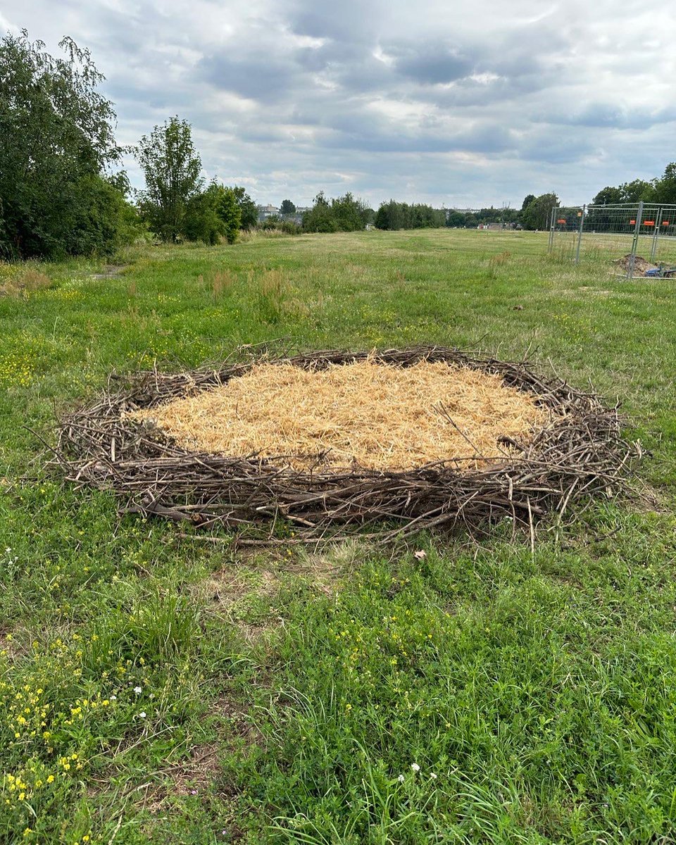 Feld Food Forest tweet media