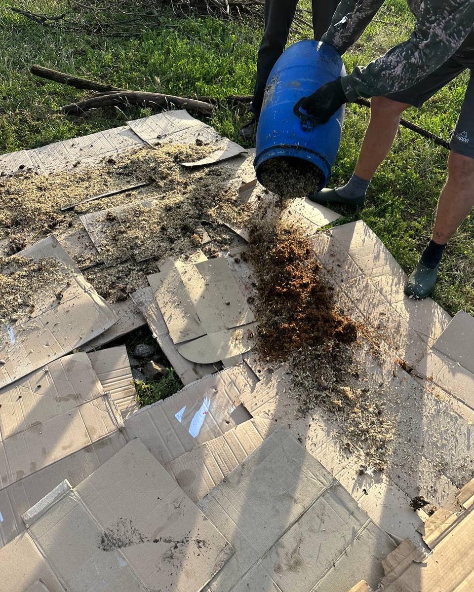 Feld Food Forest tweet media