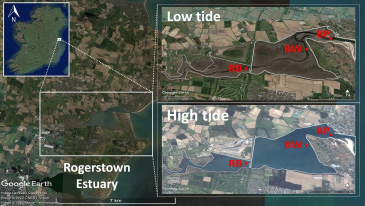 Daniel Kerr tweet media