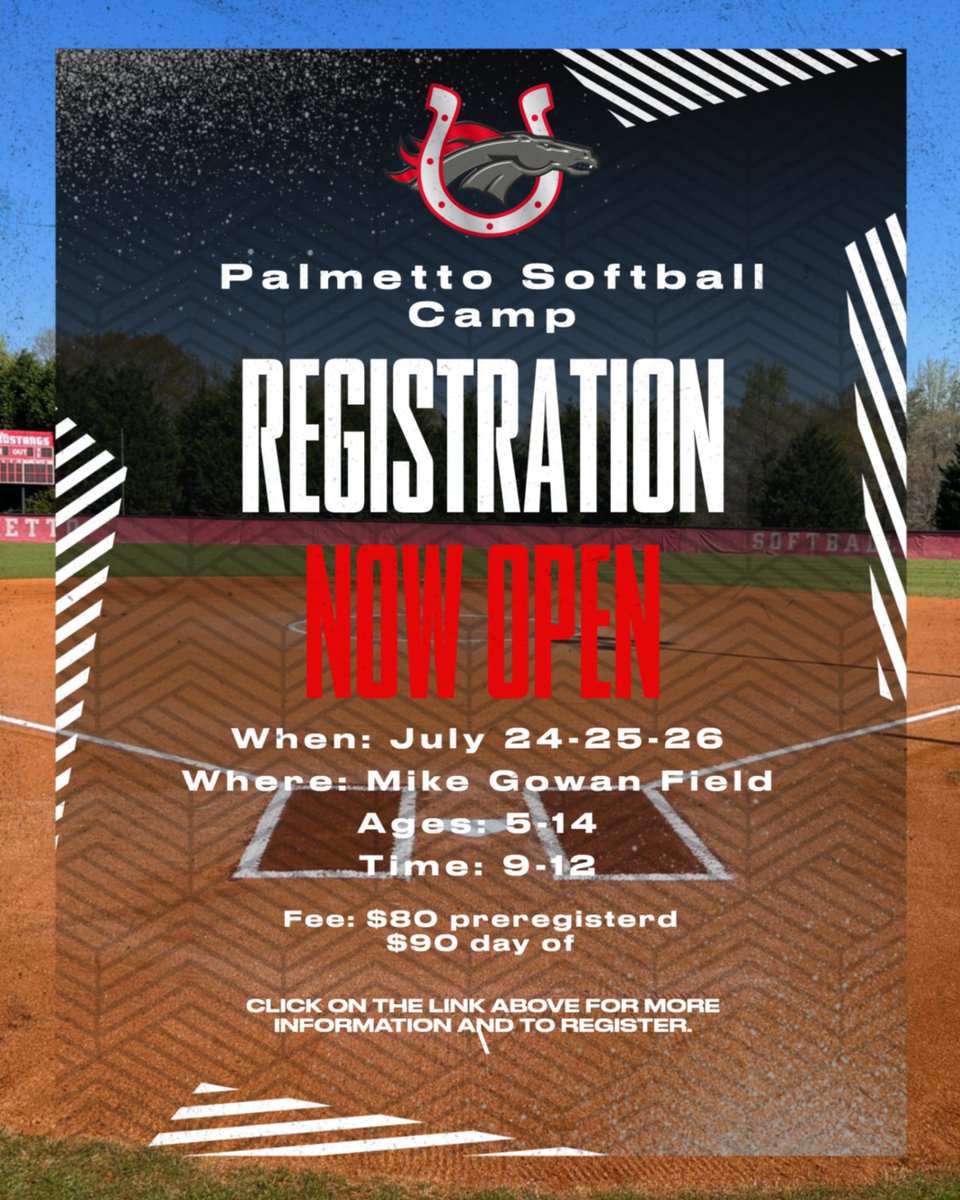 Palmetto Softball tweet media