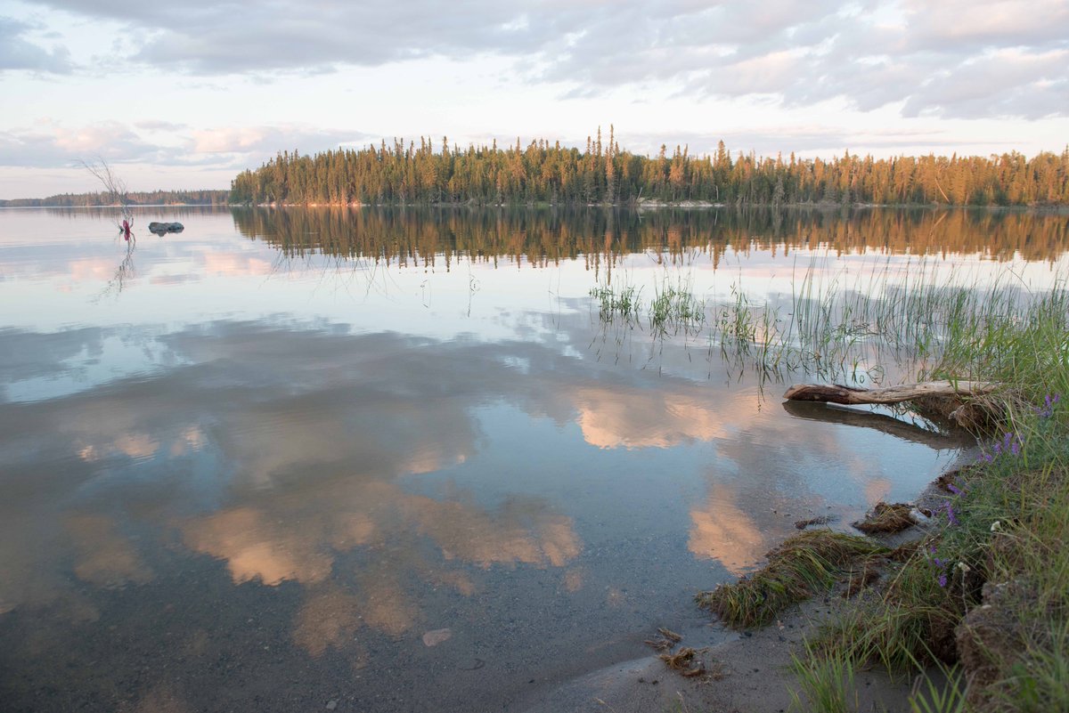 Shared Value Solutions tweet media