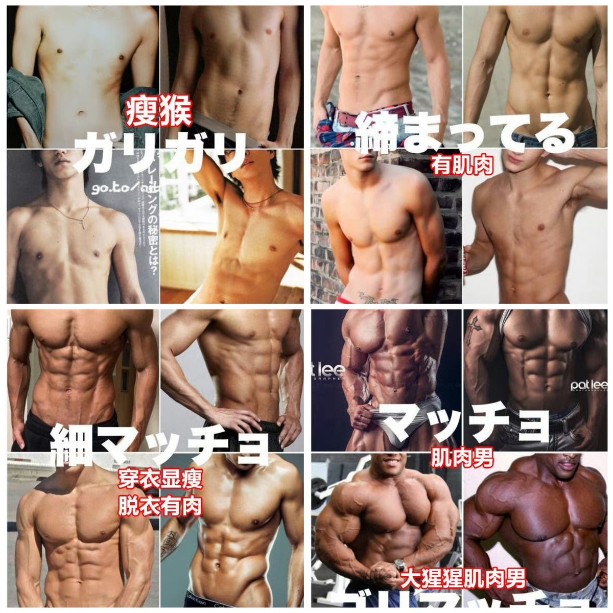 看私信感觉很多人对身材好的概念有点模糊，都说自己健身身材还不错，拿个几年前座机拍的照片，结果一看现在就毫无线条，或者就是瘦的能看到一点点腹肌。

就我们的喜好来说，1、4就算了，中间两种多来点。 https://t.co/DwwLWY8ciQ