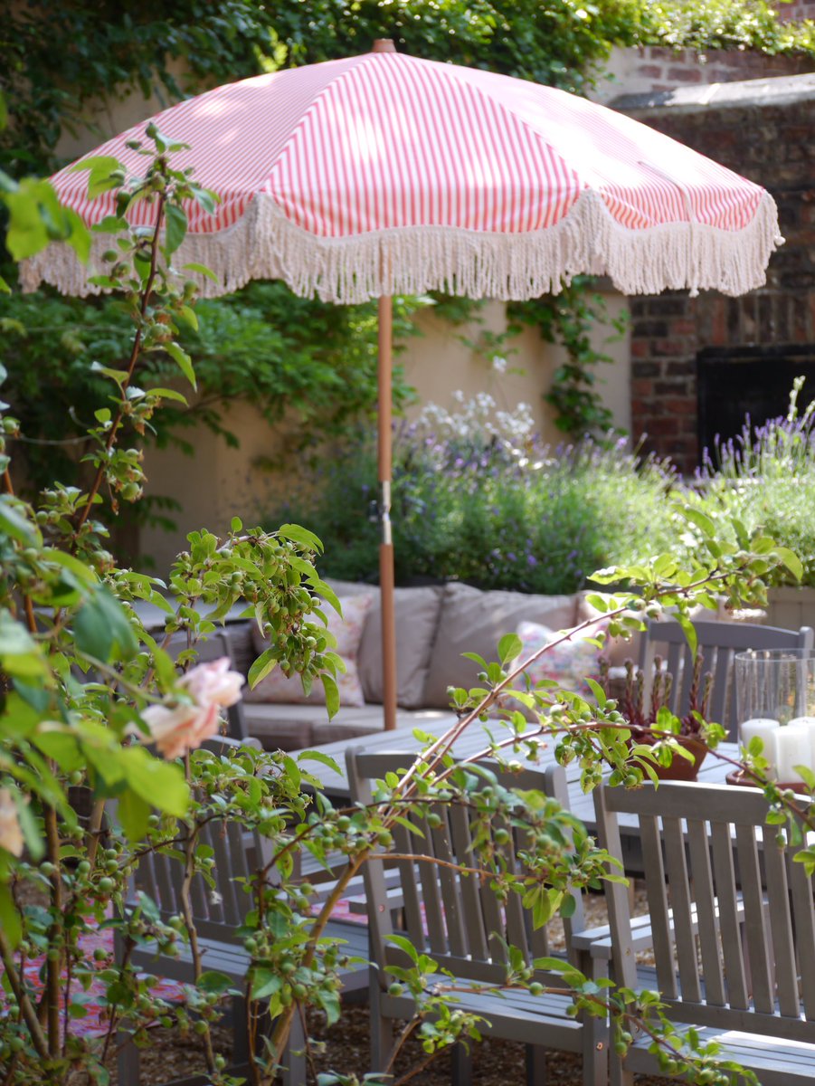 Summer days at the Parisi. We have last minute availability this weekend and it looks like parasol weather #summer #parasol #garden #holiday #outdoorliving #ukholiday #holidaylet #stripes #visityork #york #citybreak #weekendbreaks #yorkshire