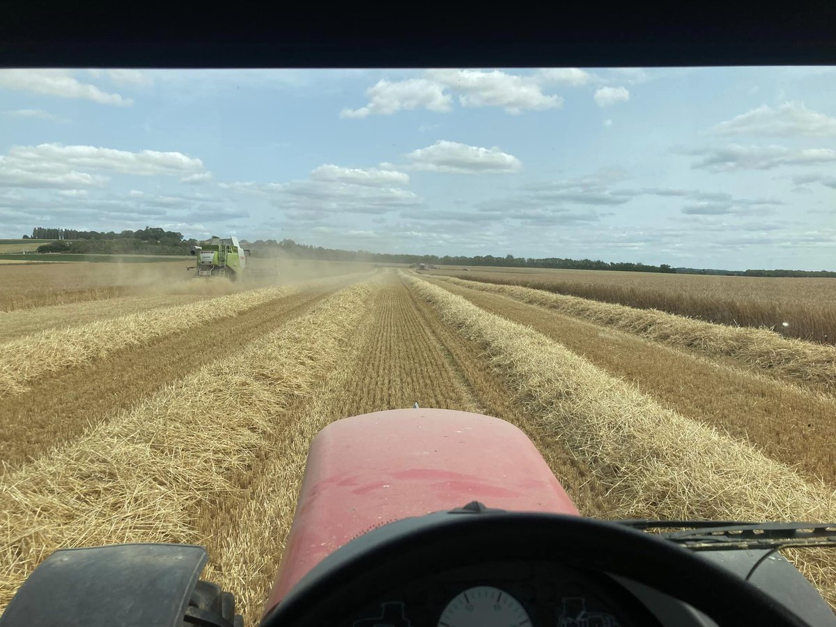 #JeudiPhoto pdt que d'autres ont débuté la moisson des escourgeons, l'heure est encore aux révisions pour certains 🔧

Avant la moisson, certains éciment les mauvaises 🌱 dans les champs de 🌾 afin d'éviter que celles-ci ne se multiplient et ne se resèment lors de la moisson 🚜