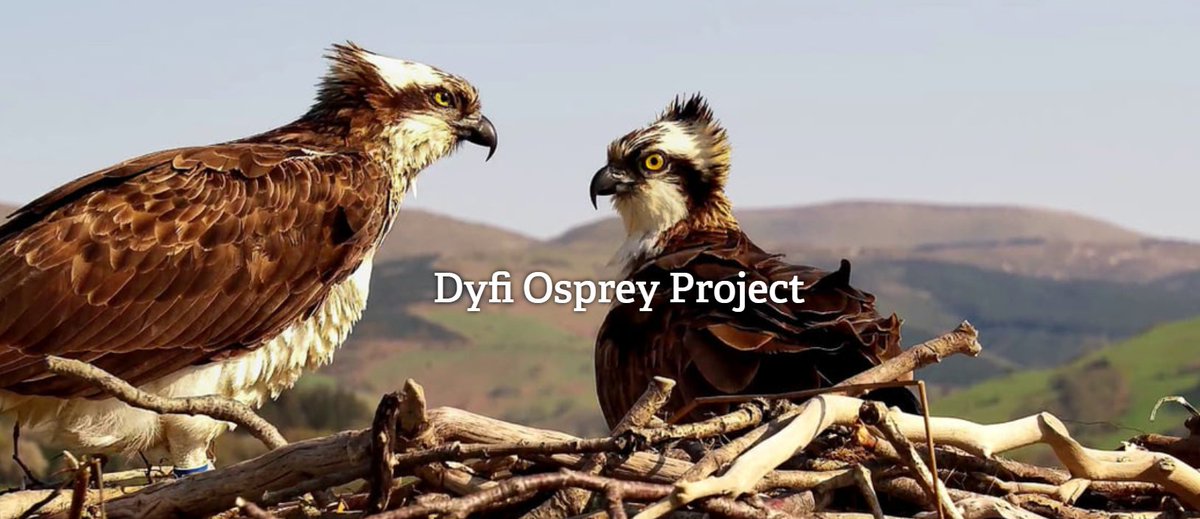 CHERISH Project tweet media