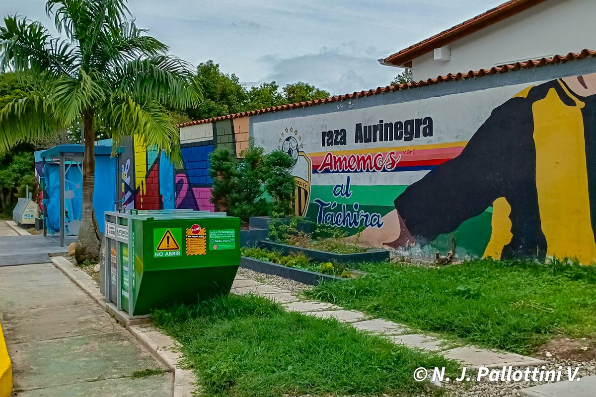 N. J. Pallottini V. tweet media