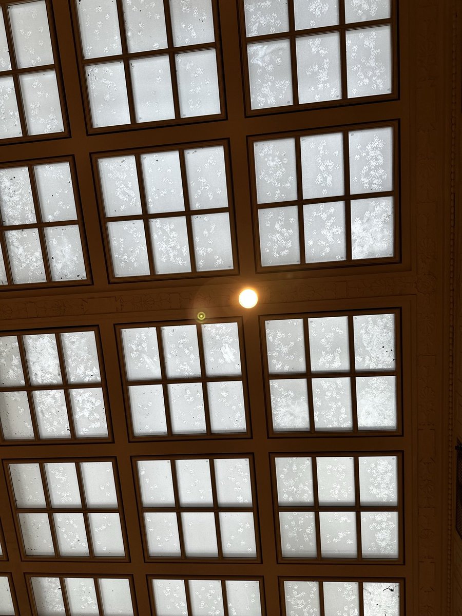 Neil Loewen tweet media